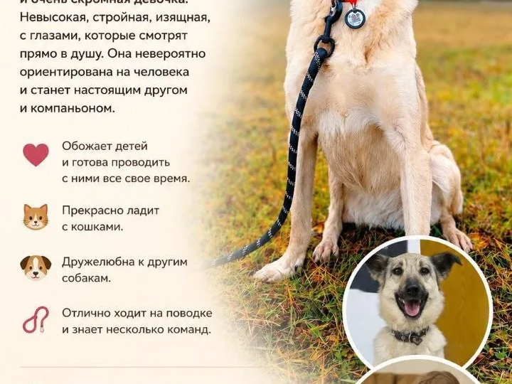 🌷 Вета: тихий шёпот души, который ищет свой дом 🌷