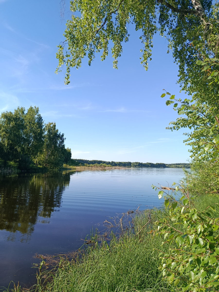 Место впадения реки Озерна в водохранилище