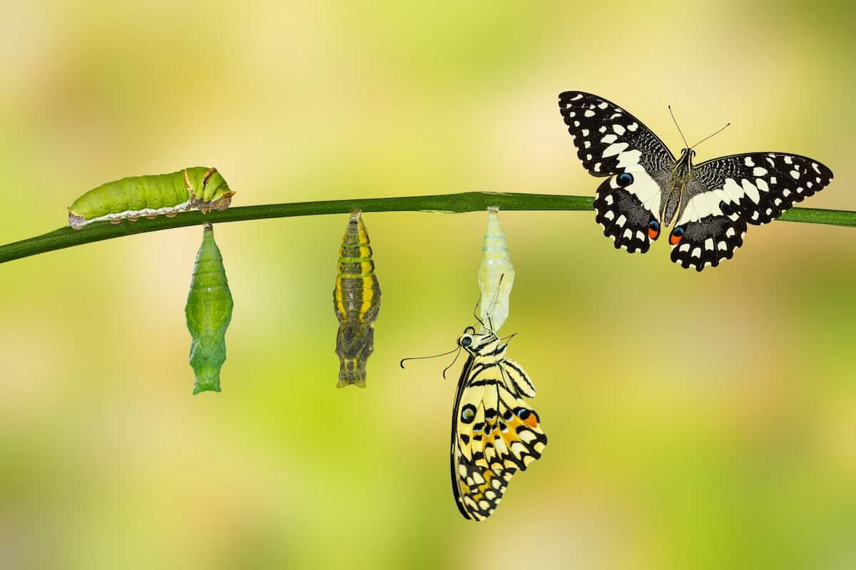 Фото с сайта: https://www.monkhouseandcompany.com/resources/blog/six-things-you-need-to-do-to-ensure-business-transformations-succeed/