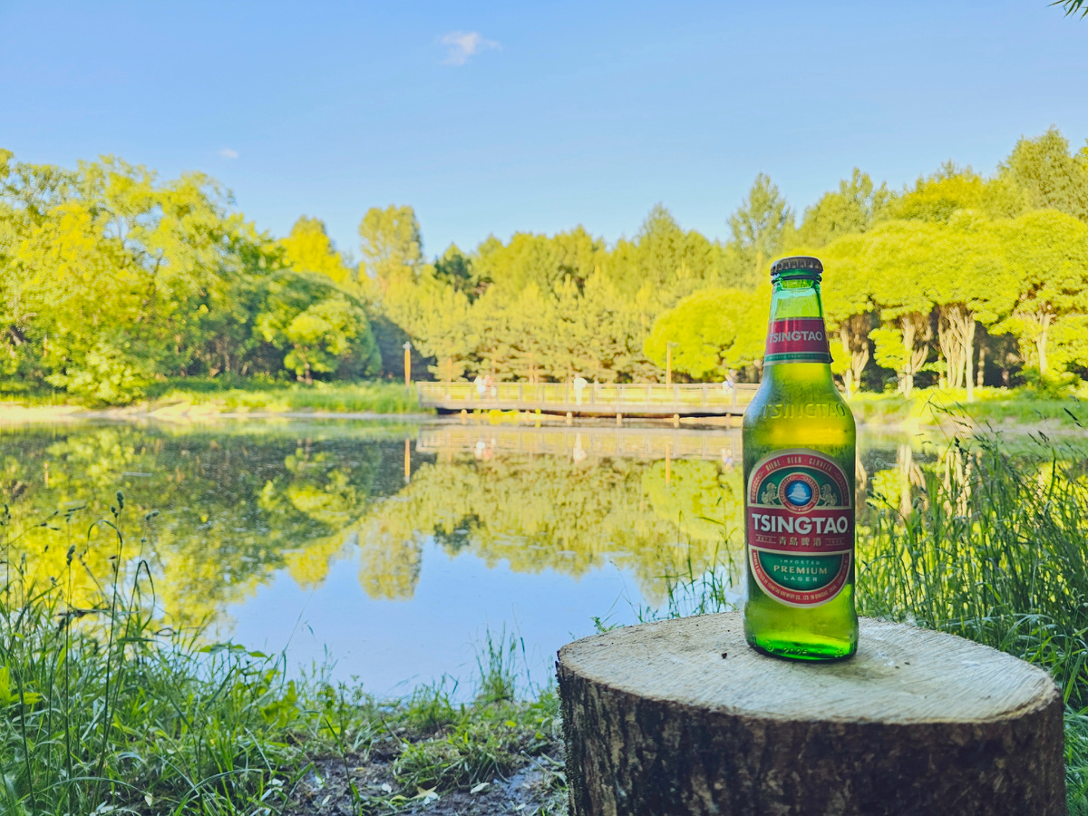 Tsingtao Premium Lager, фото автора