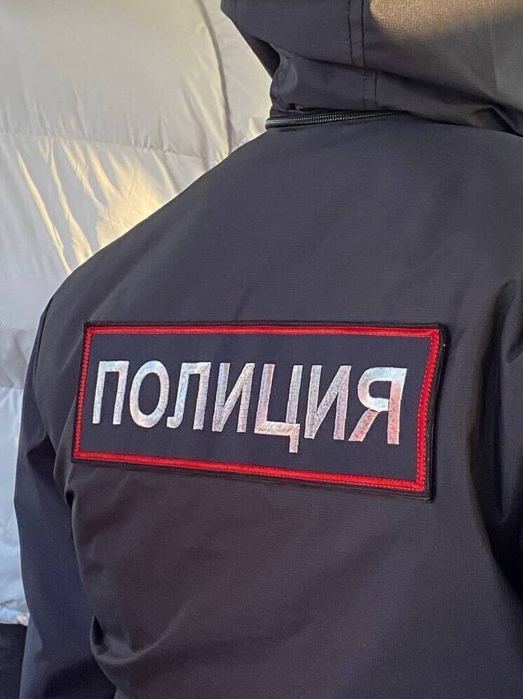   Елена Полякова