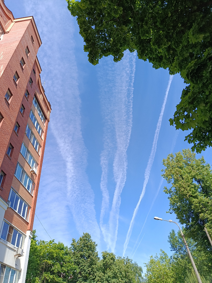 Фото автора.