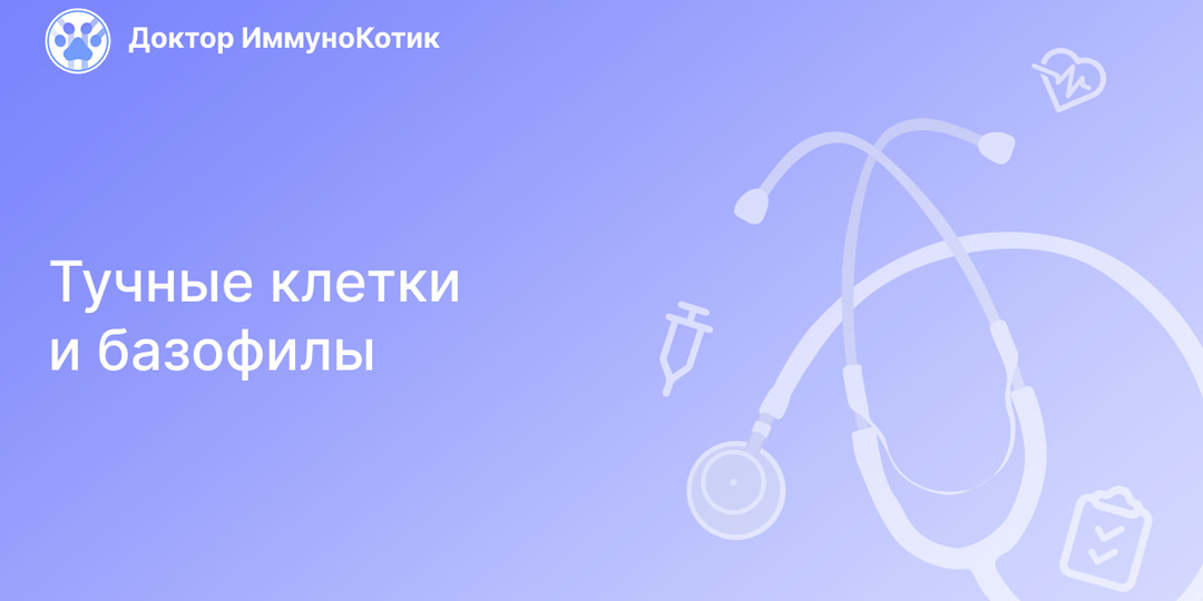 Тучные клетки и базофилы