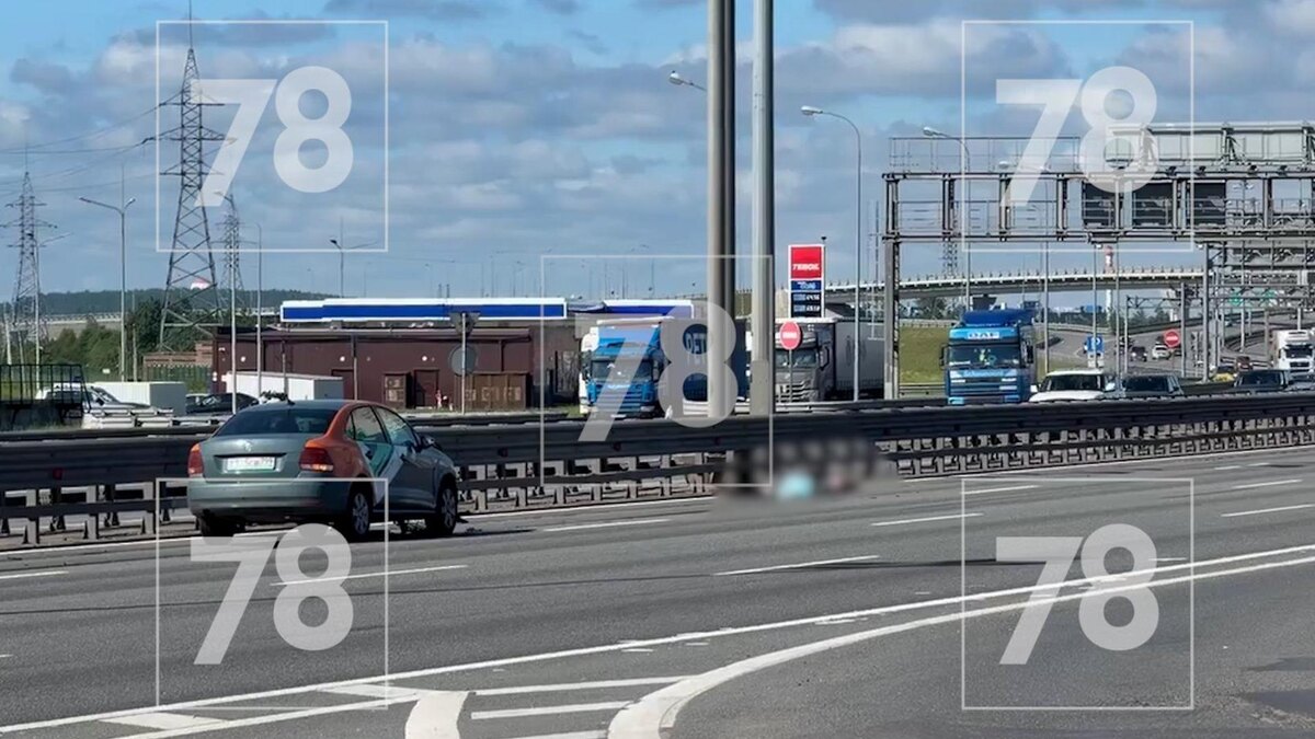    Фото: 78.ru
