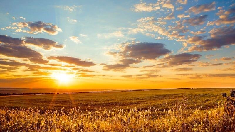    Фото: Evgrafova Svetlana/Shutterstock/Fotodom