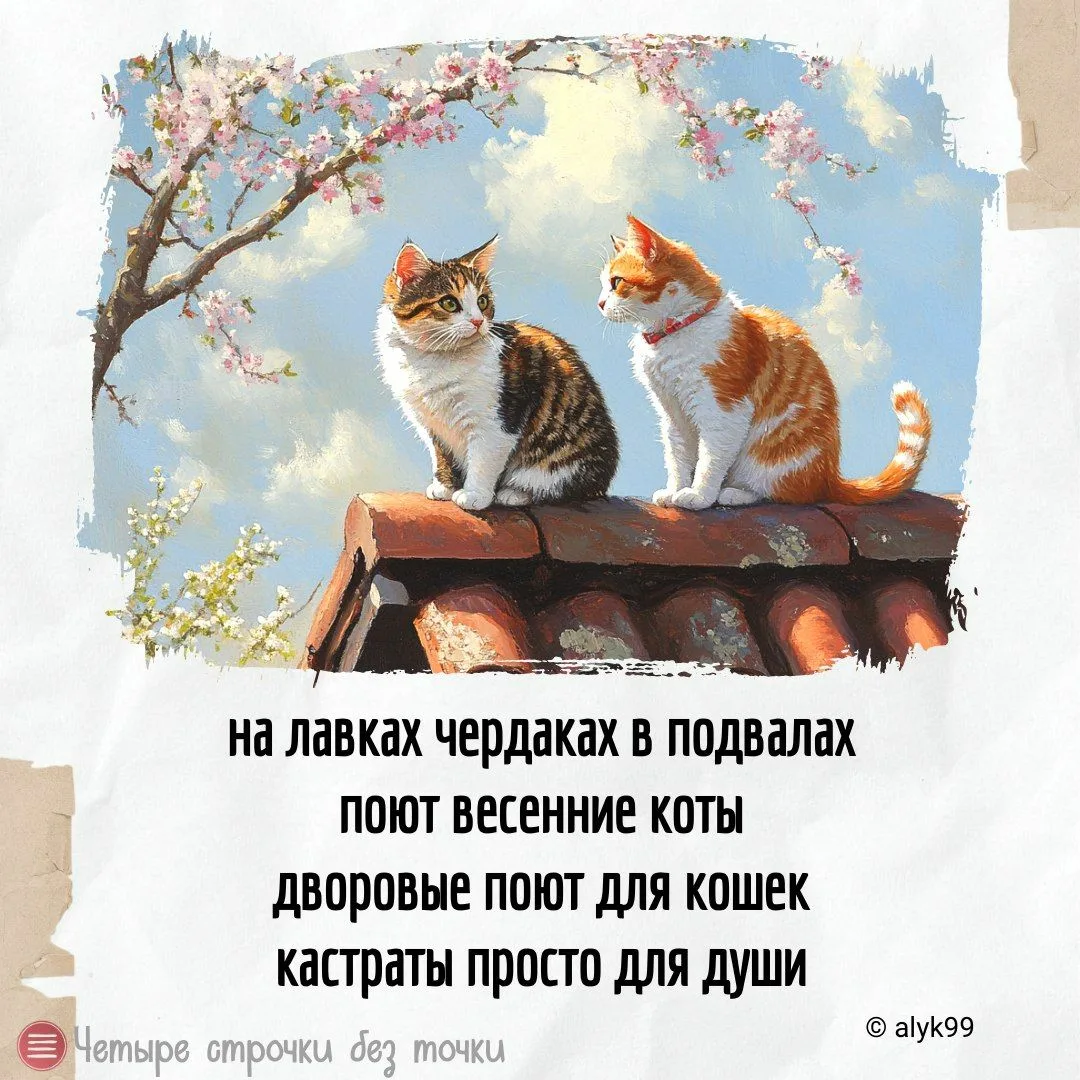 фото из яндекс картинки