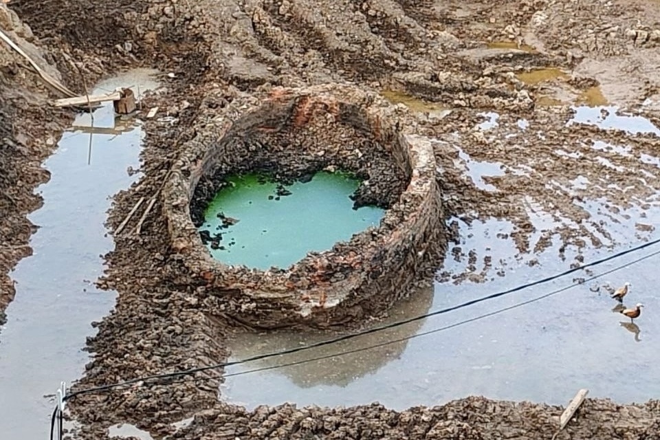 Уткам-огарям понравился новый водоем.