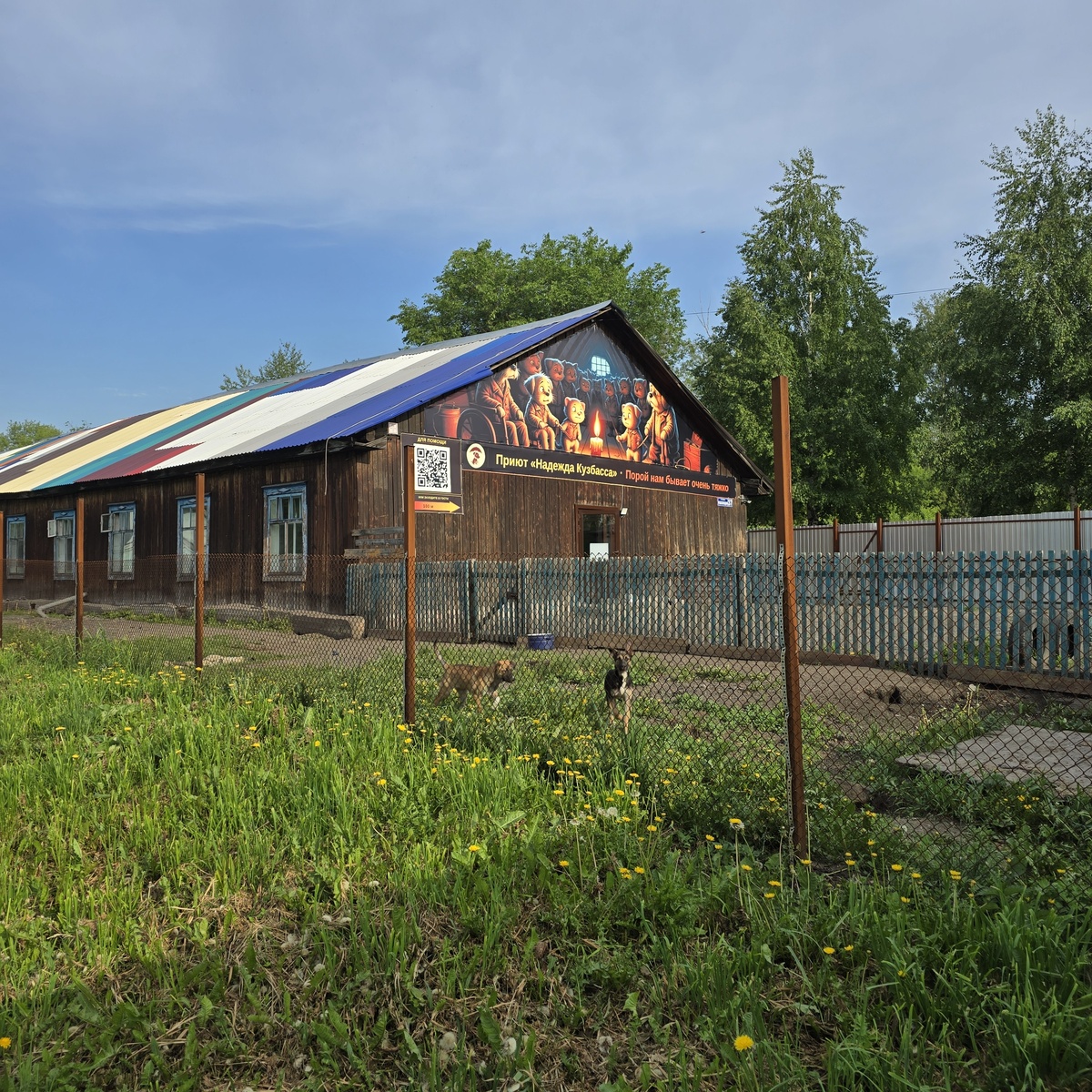 Деревянный дом, вольеры, плакат. Тишина приюта