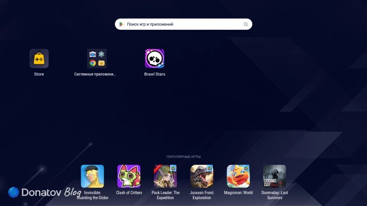    Интерфейс Bluestacks