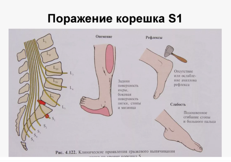 https://en.ppt-online.org/63991