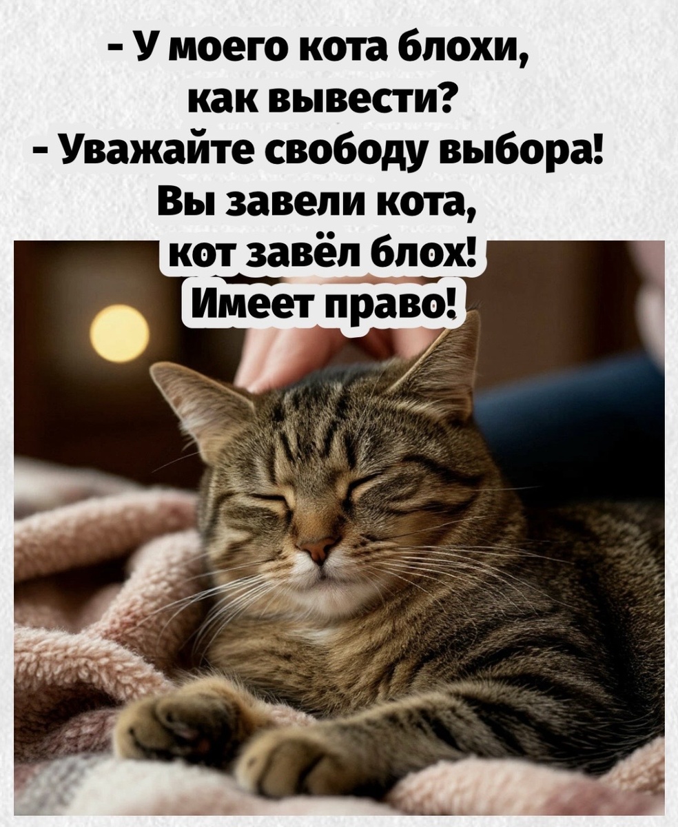 -8