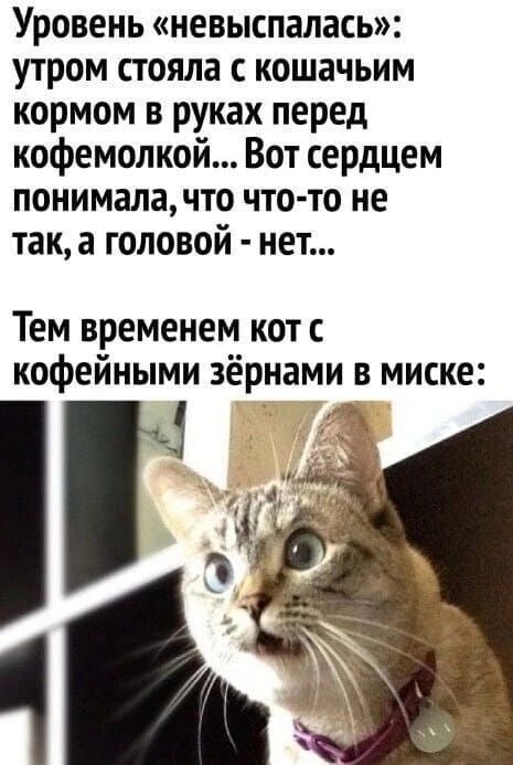 -9