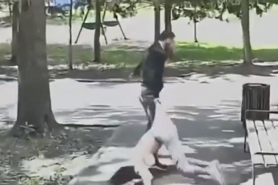 скриншот видео