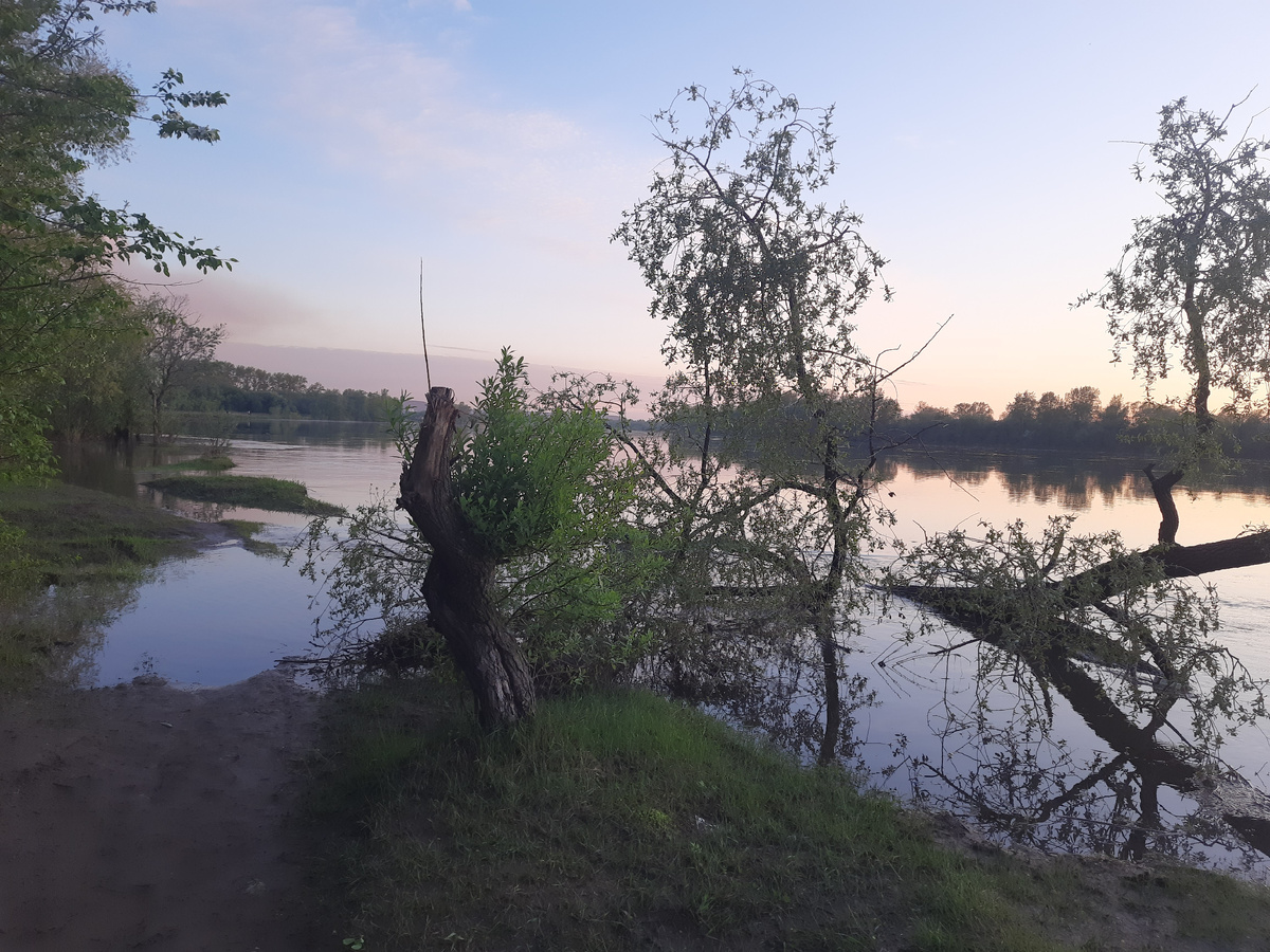 Река Чулым