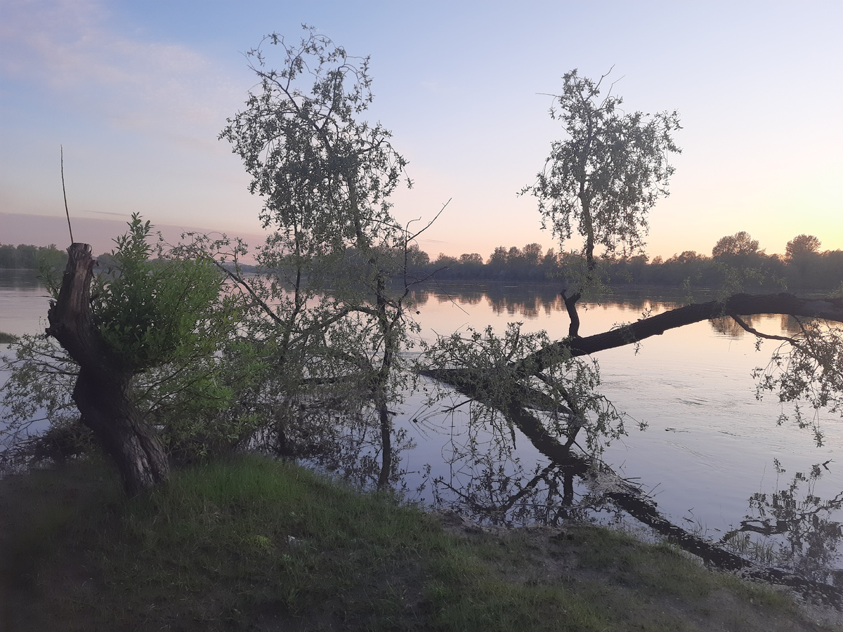 Река Чулым