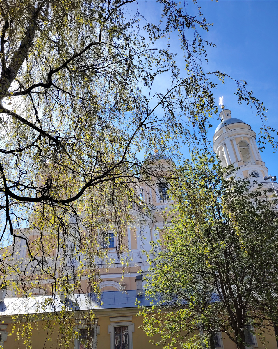 Просто красивый Князь-Владимирский собор в санкт-Петербурге с очень аллергичным для многих прекрасным деревом- берёзой (увы, увы)