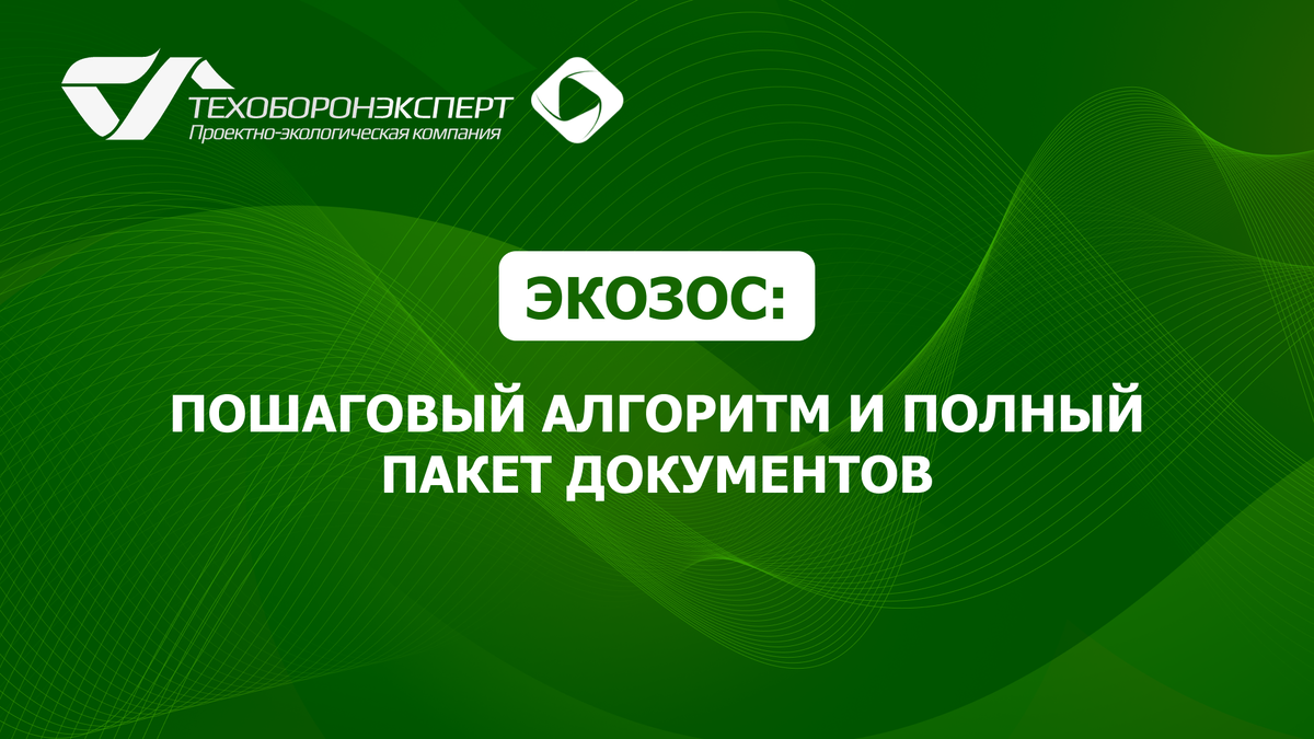 ЭКОЗОС: пошаговый алгоритм и полный пакет документов.