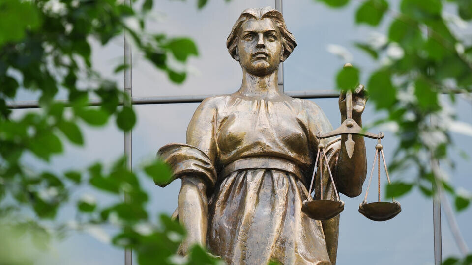     Суд изъял участок дроппера, на чью карту Долина переводила деньги ИЗВЕСТИЯ/Эдуард Корниенко