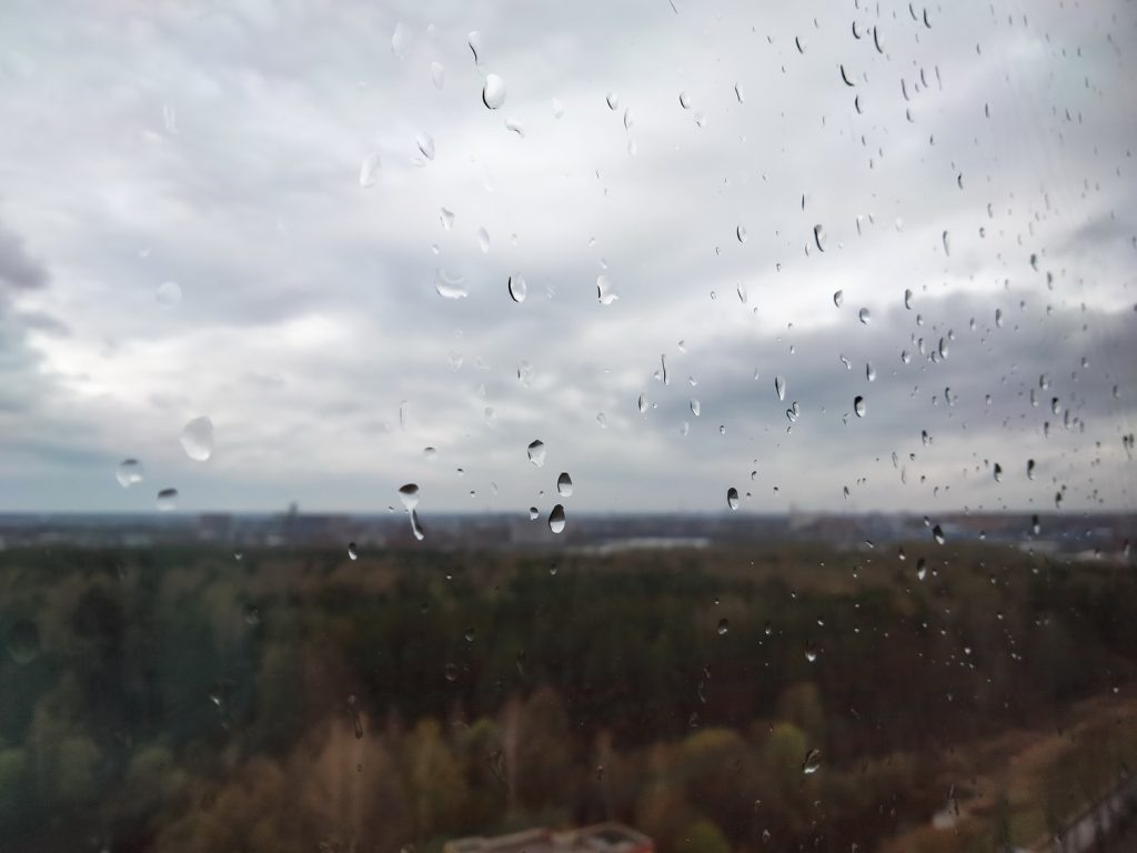    Фото Анастасии Петровой