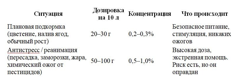 Таблица и фото Натальи Мироновой