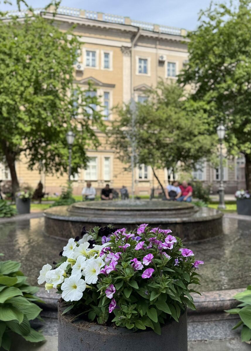 листайте карусель