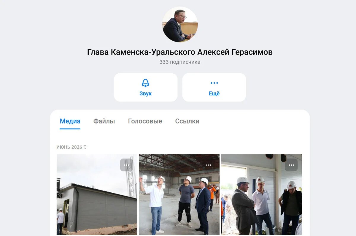    скрин в МАКС