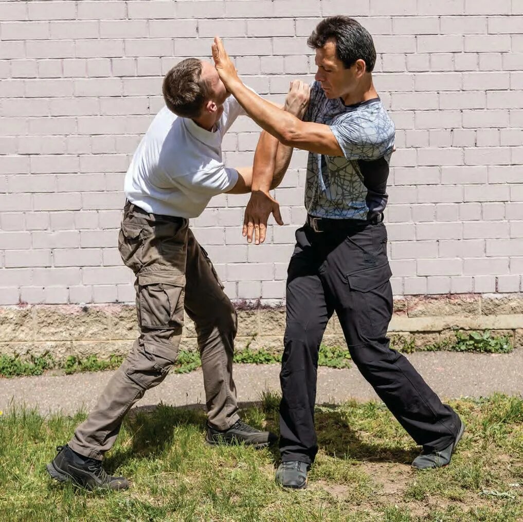 Фото с сайта https://www.magzter.com/stories/sports/Black-Belt/BEST-PREEMPTIVE-STRIKES-AND-PALMS-VS-FISTS-PART-3
