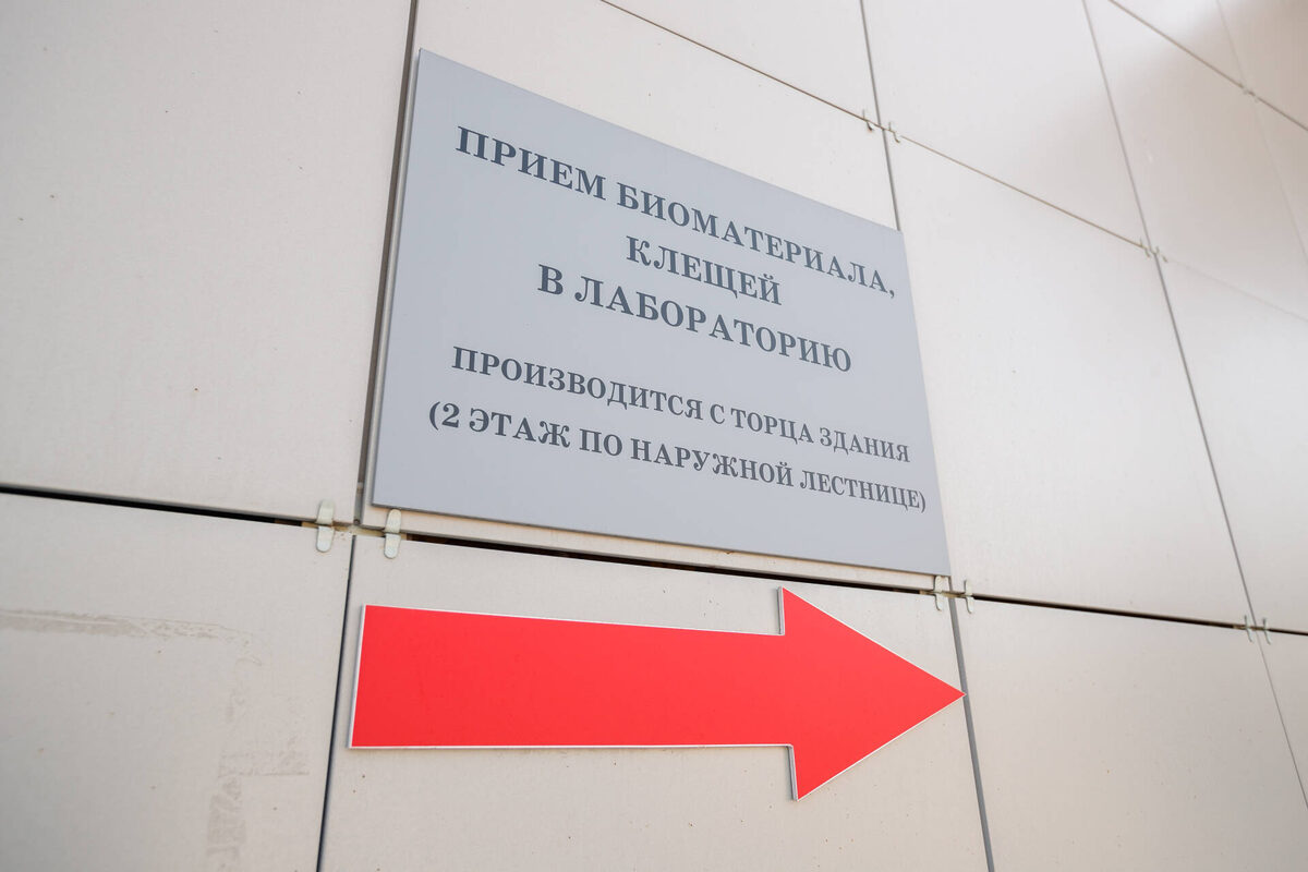 Фото: © Владимир Васильев / «Татар-информ»