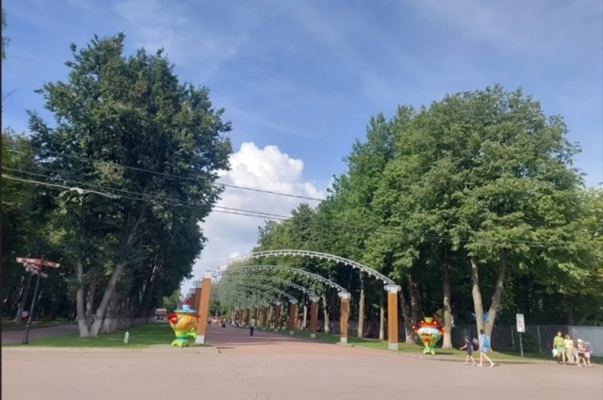    В Туле пройдёт масштабная «Юношеская Лига» по ММА под открытым небом