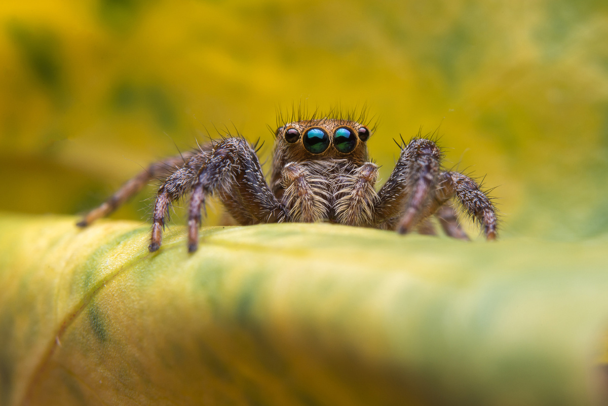Image by jcomp on Magnific