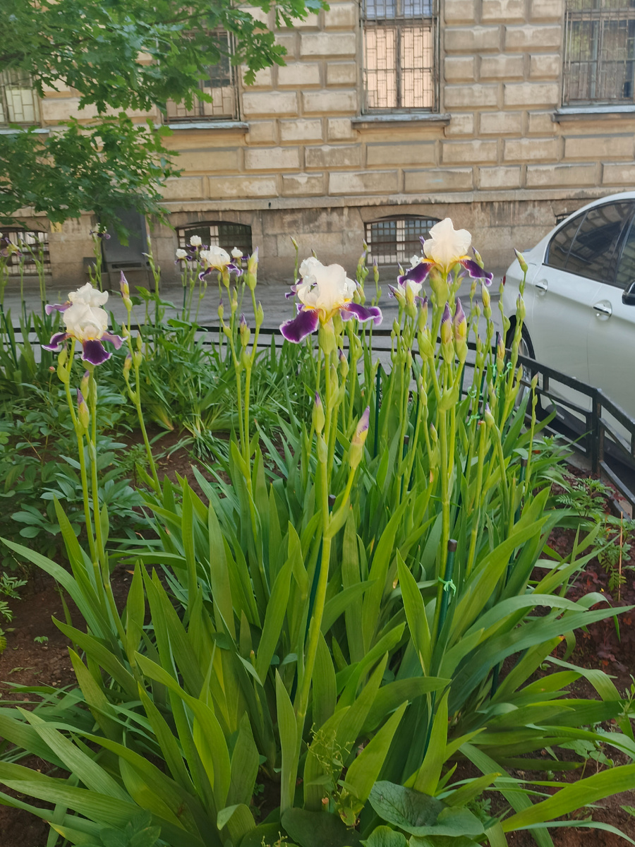 Фото автора