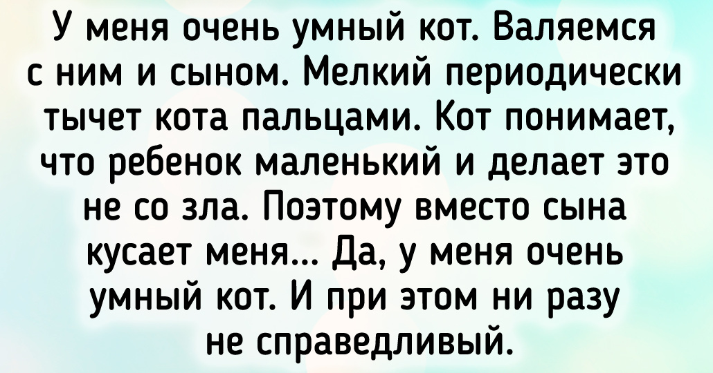 17 пушистиков, у которых есть всё — мягкие лапки, острый ум и доброе сердце