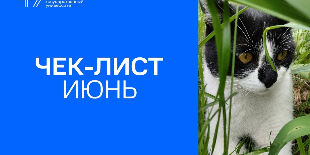 Что нужно сделать в ближайшие 7 дней