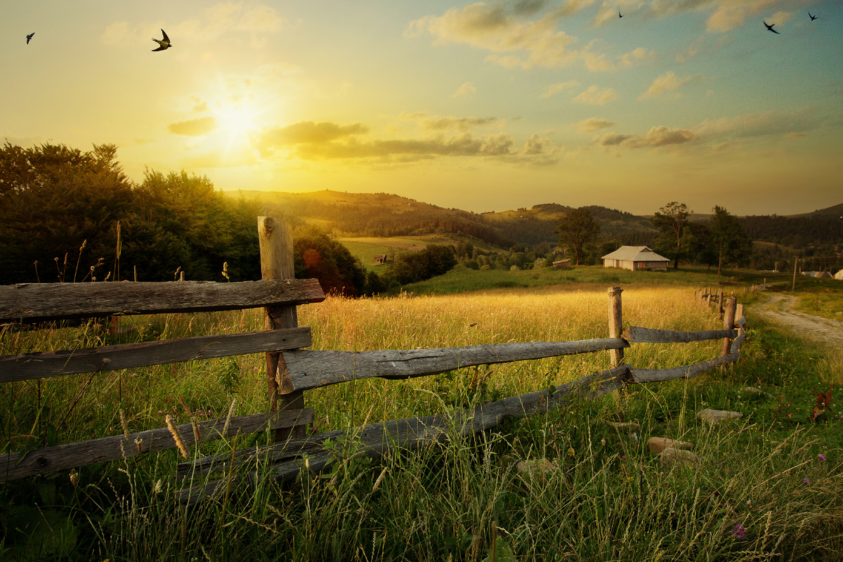 фото: Shutterstock 