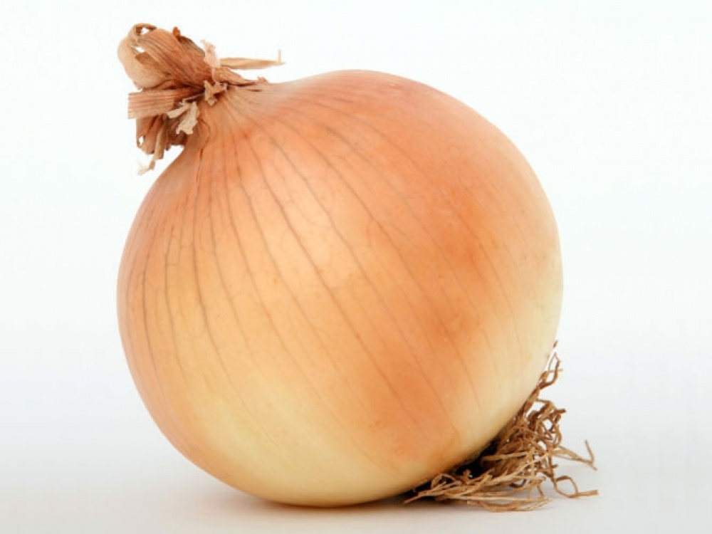 Лук