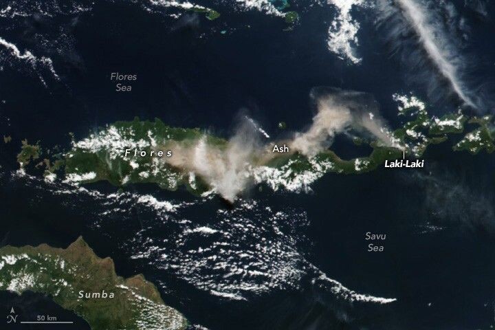     Фото: NASA Earth Observatory, снимок со спутника Suomi NPP (VIIRS)