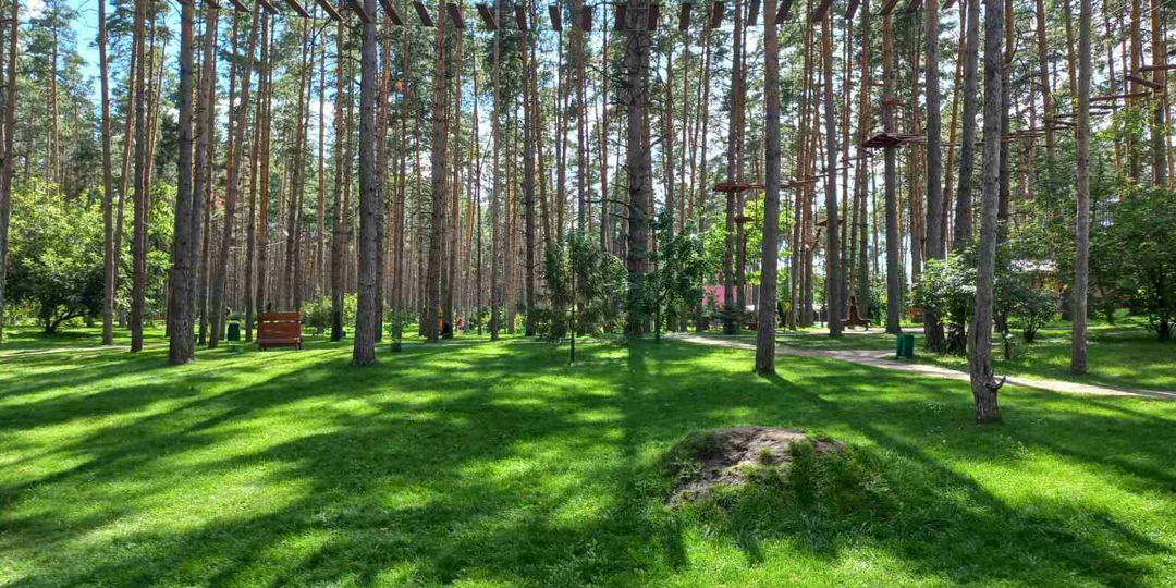 Искра любви. Глава 13.