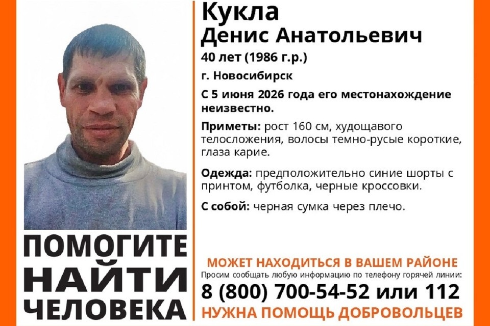    Отряд нуждается в помощи добровольцев для поисков. Фото: поисковый отряд «ЛизаАлерт» Новосибирской области