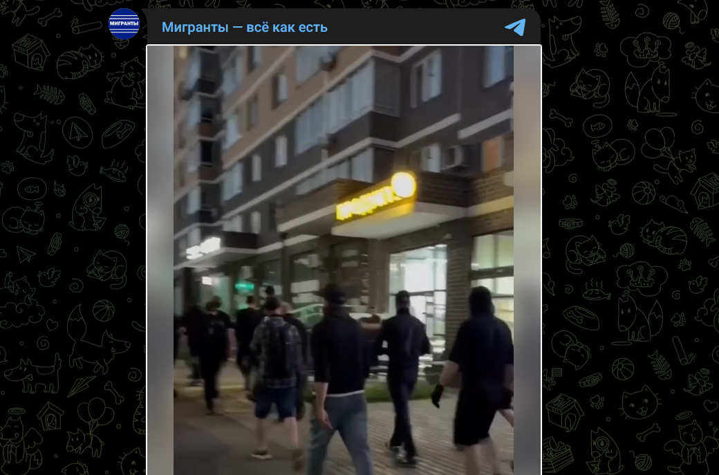 Фото: Telegram-канал "Мигранты - всё как есть"
