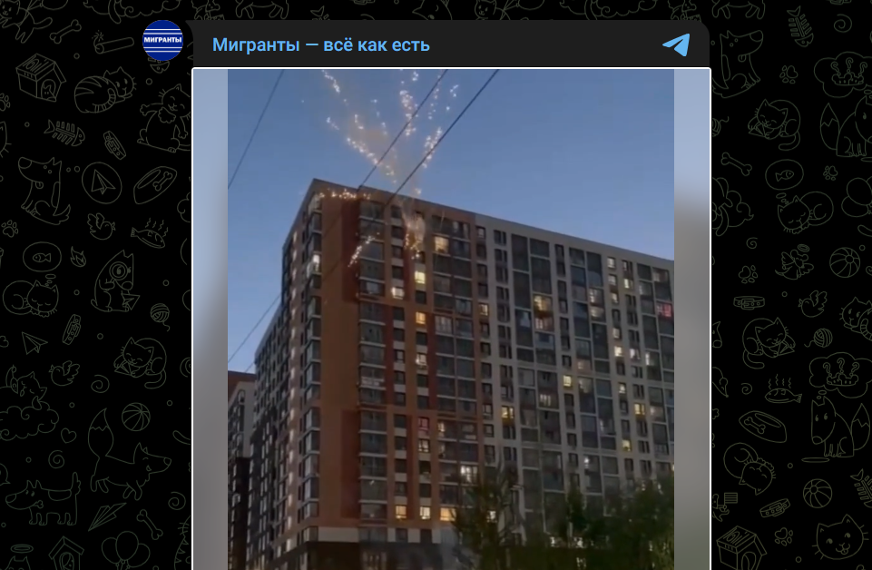 Фото: Telegram-канал "Мигранты - всё как есть"
