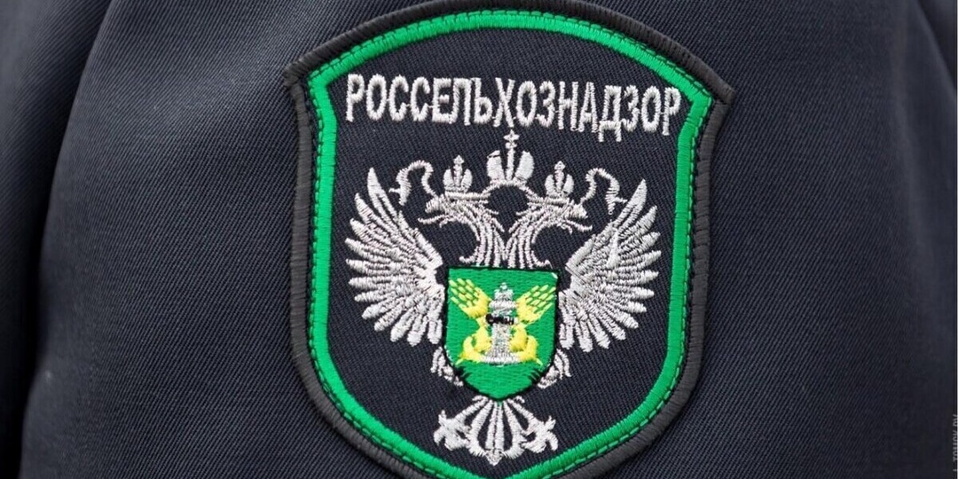 Россельхознадзор выдал 155 предостережений запорожским аграриям за фитосанитарные нарушения