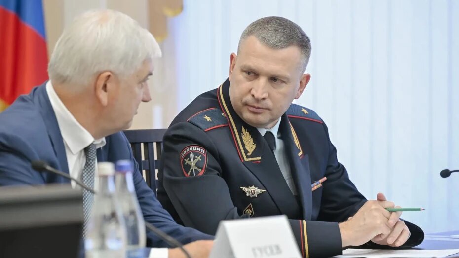    Автор фото: пресс-служба правительства Воронежской области, пресс-центр МВД России