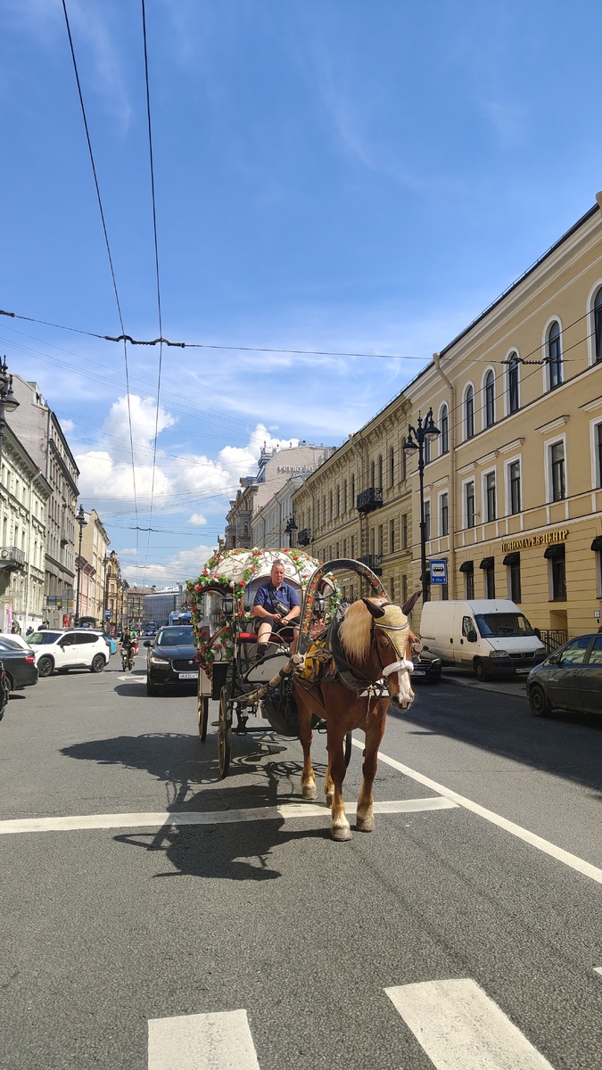 С боку цокот копыт услышала