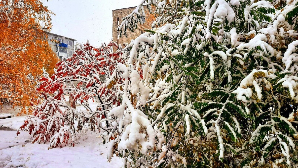 Фото автора