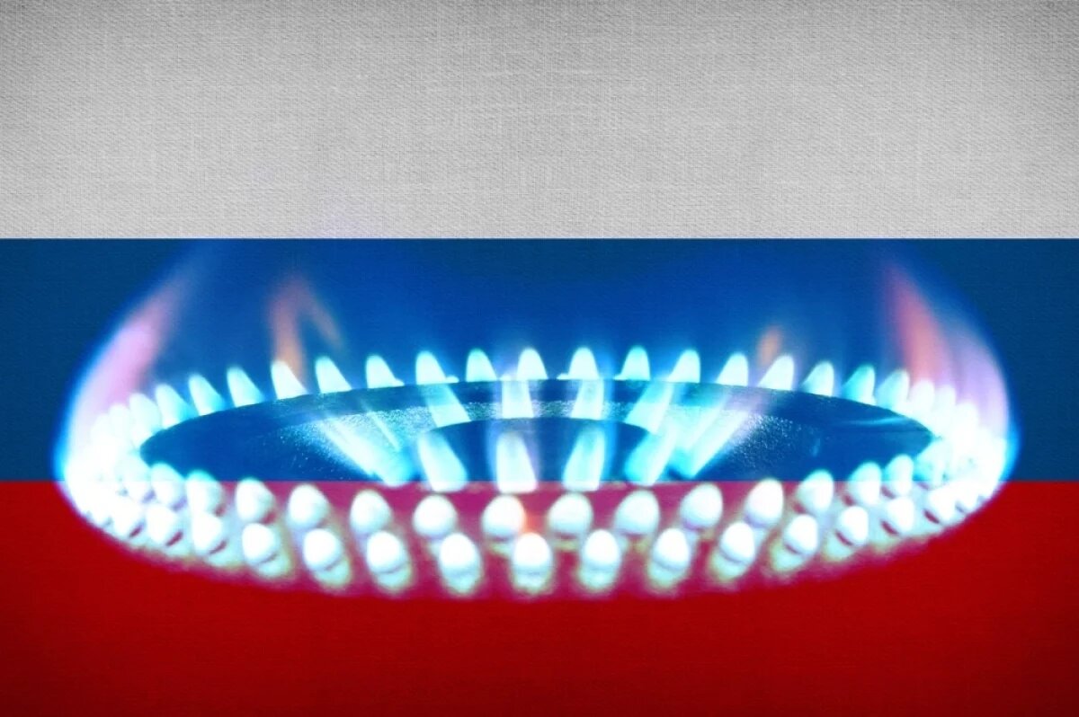    Директора компании в Ставрополе оштрафовали на 100 тыс. руб. за долг за газ