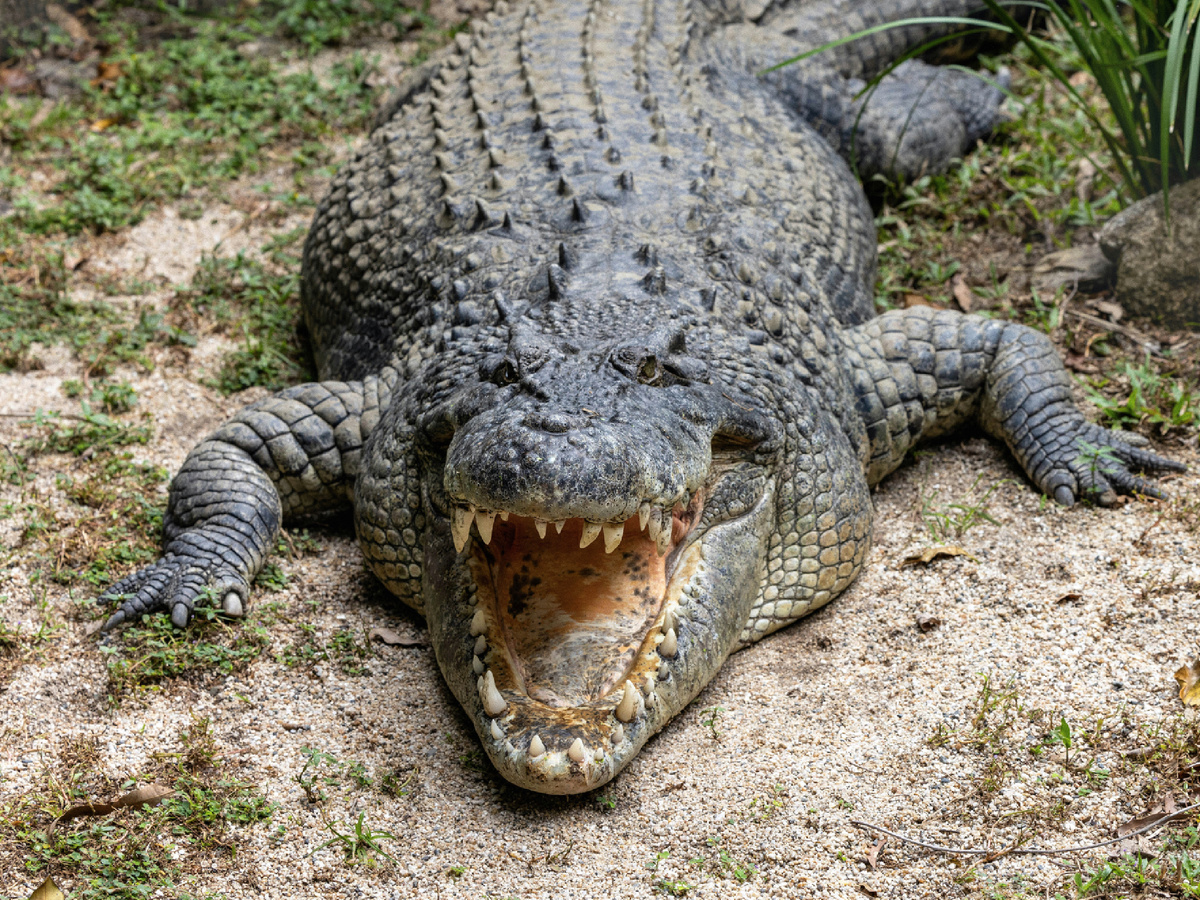 ��������. ����������: david-clode, Unsplash