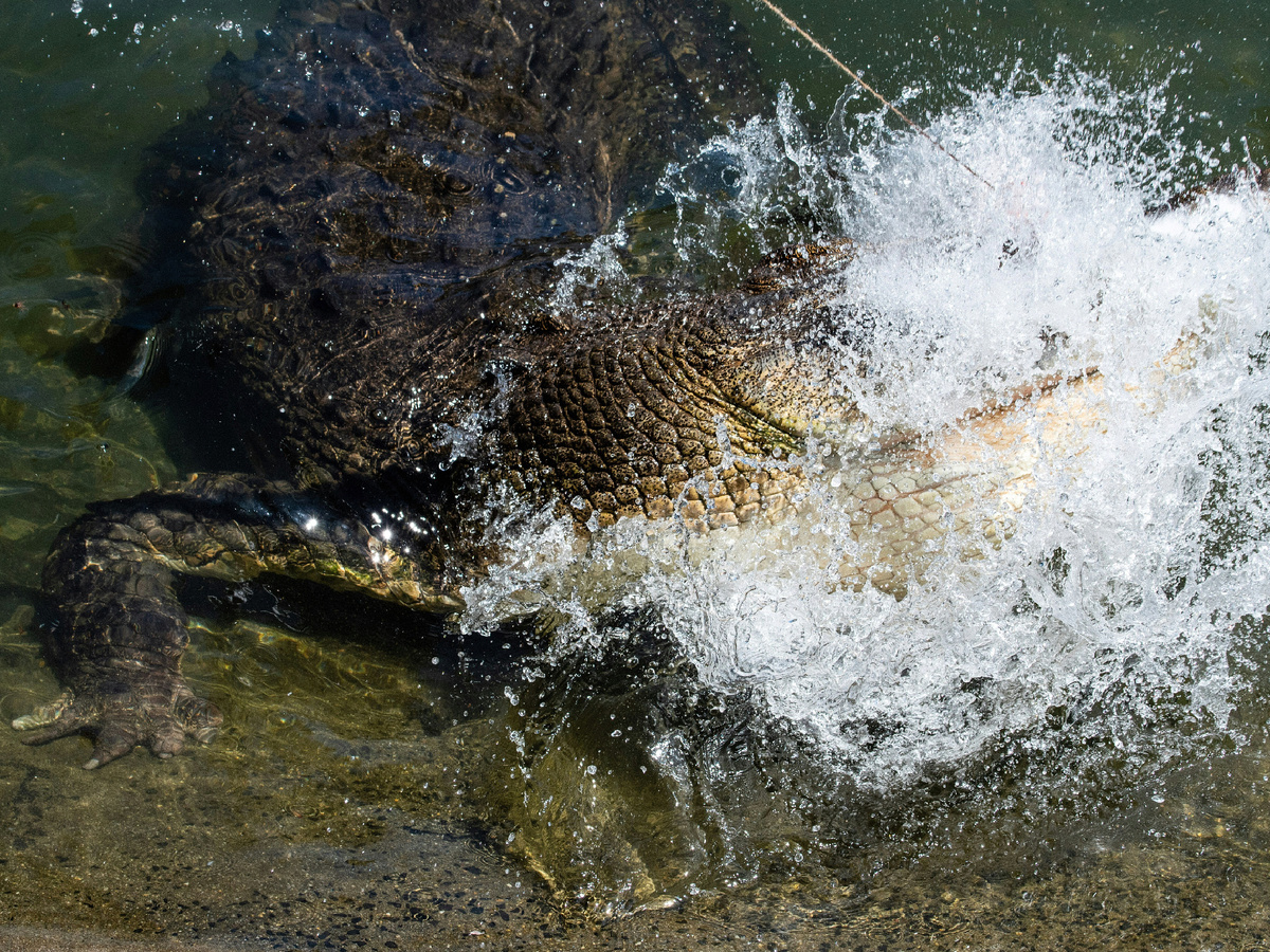 ����������: david clode, Unsplash