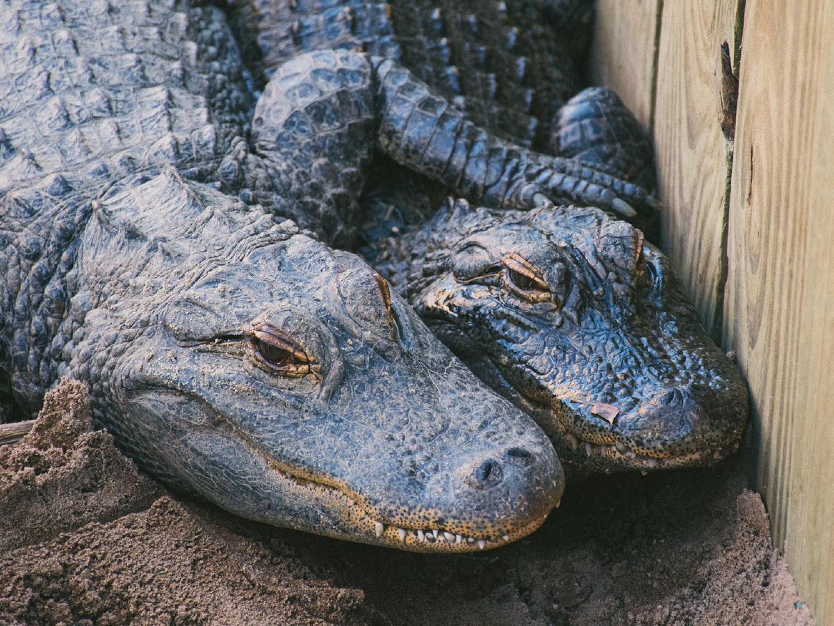 ����������: casey lovegrove, Unsplash