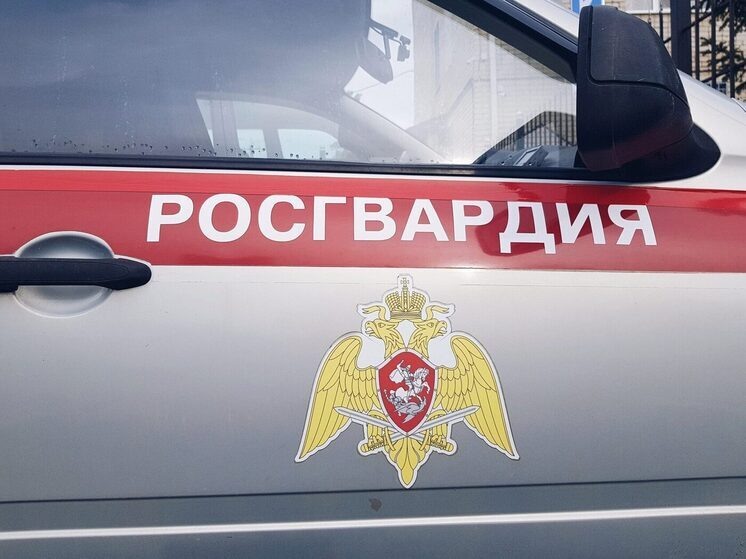     Фото: "МК на Кубани"