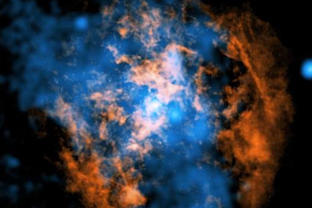    NASA/CXC/Northwestern Univ./M. Gorski